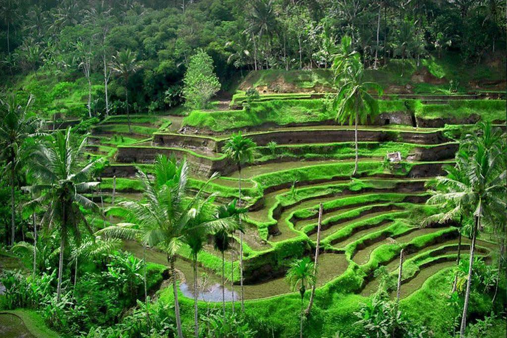Puri Dalem Cottages Ubud Exterior foto